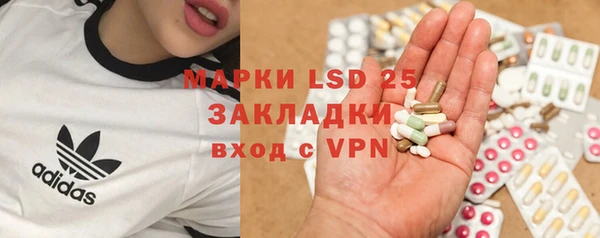 сатива Алзамай