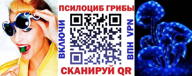 Псилоцибиновые грибы мицелий  Черноголовка 